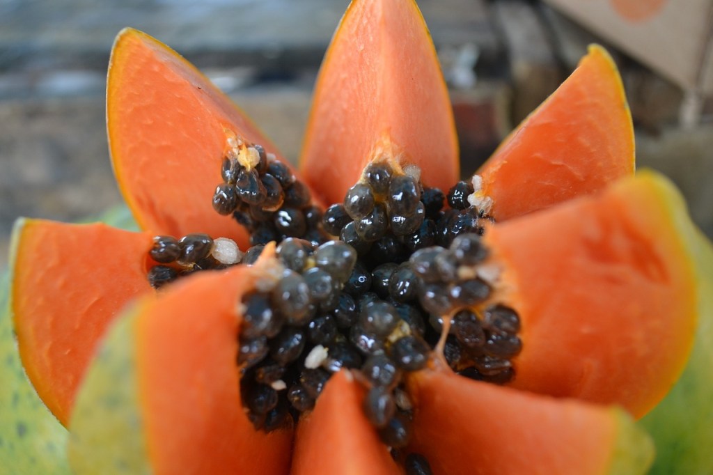 papaya mask,